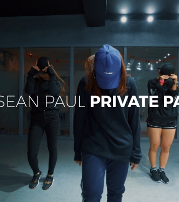 Sean Paul – Private Party (Dance. J-fire) 